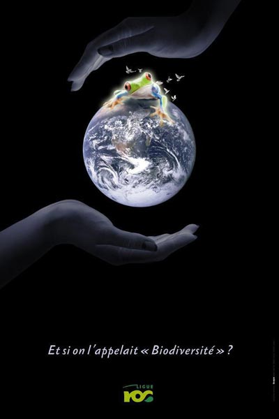 Biodiversité