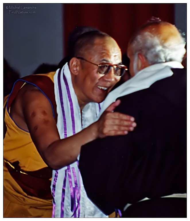 Dalai Lama photo