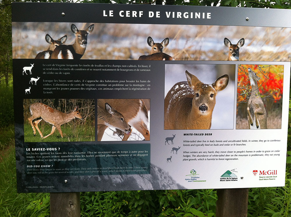 Photos Michel Lamarche, panneau d'interprétation, Mont St-Hilaire (Québec)