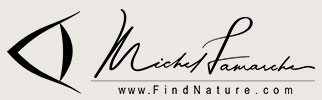 Logo de FindNature.com