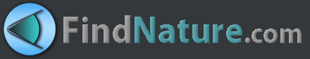 find nature home accueil