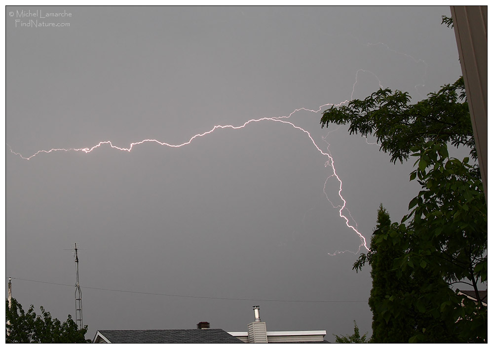 Éclair / Lightning