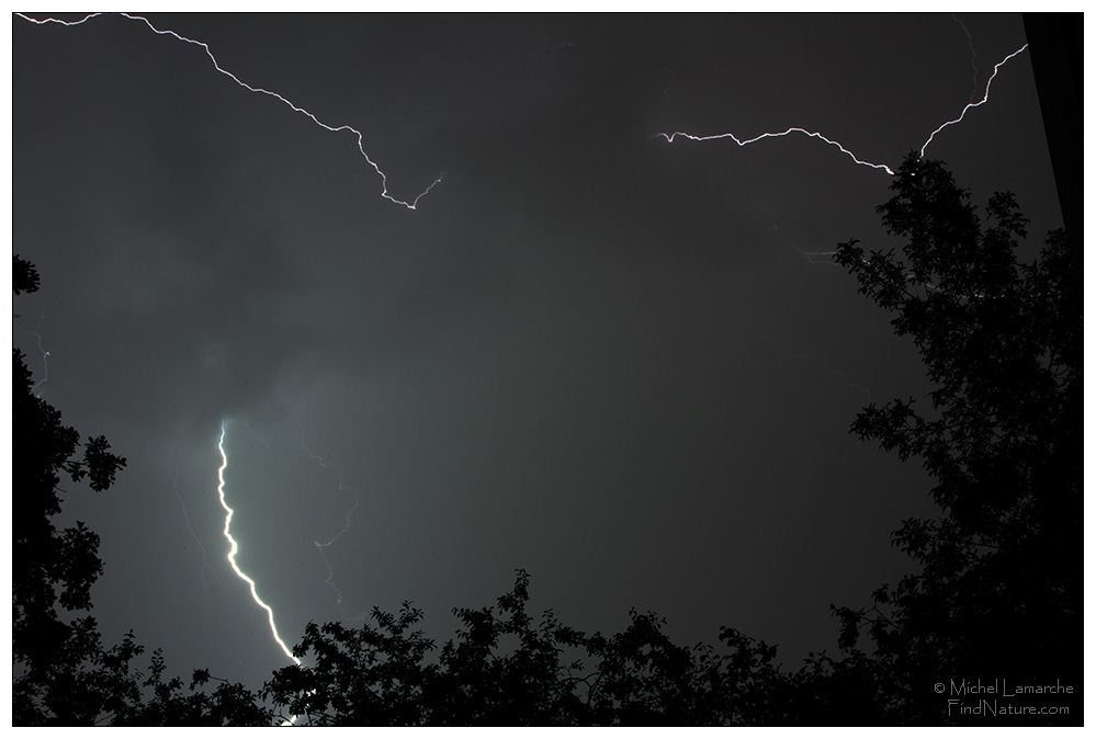 Éclair / Lightning