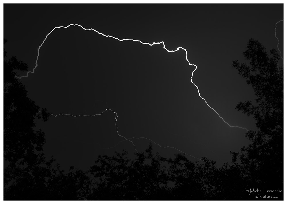 Éclair / Lightning
