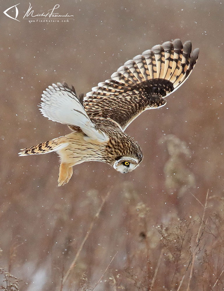 Mont&eacute;r&eacute;gie (Qu&eacute;bec), 2017-12-22