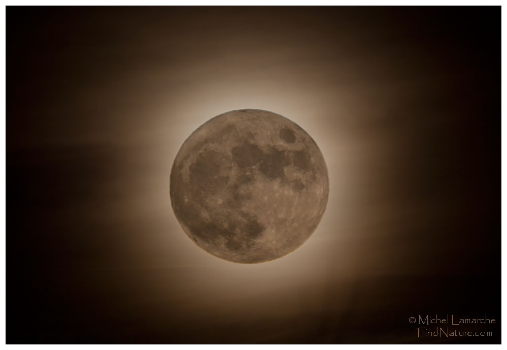 Pleine lune du 25 novembre 2015, St-Bruno (Québec)