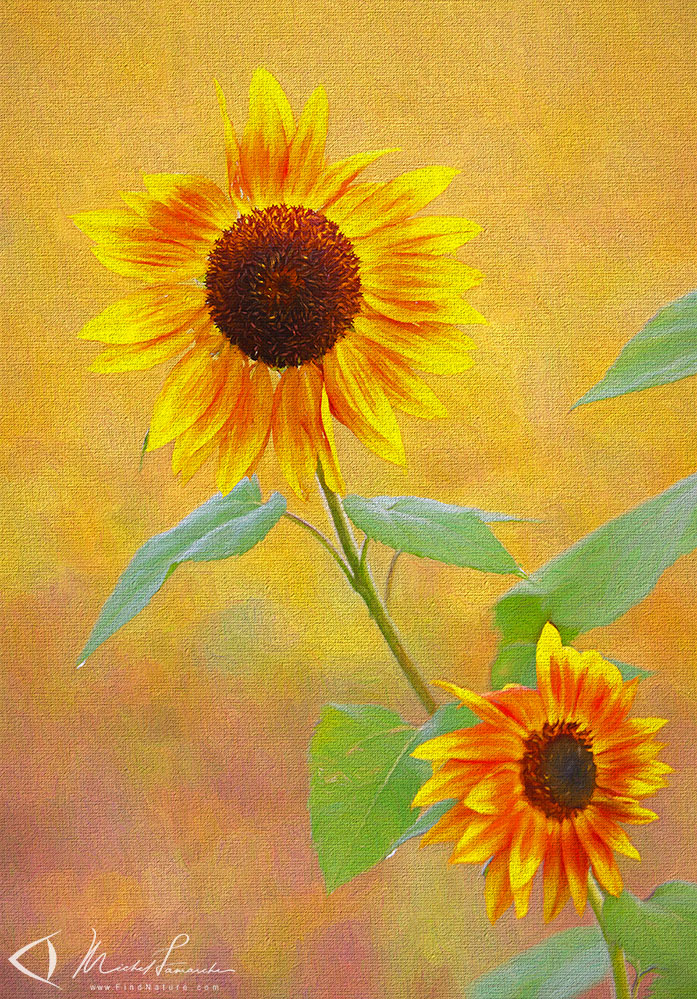 St-Bruno, 2020-09-15