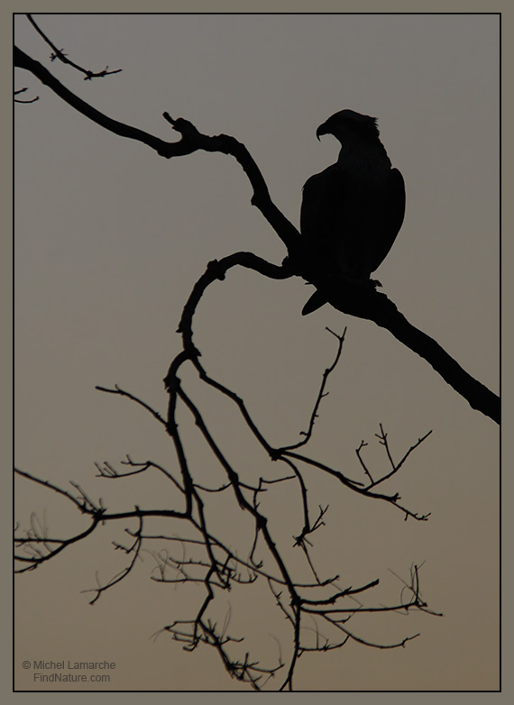 Everglades (Floride), 2006-12-29