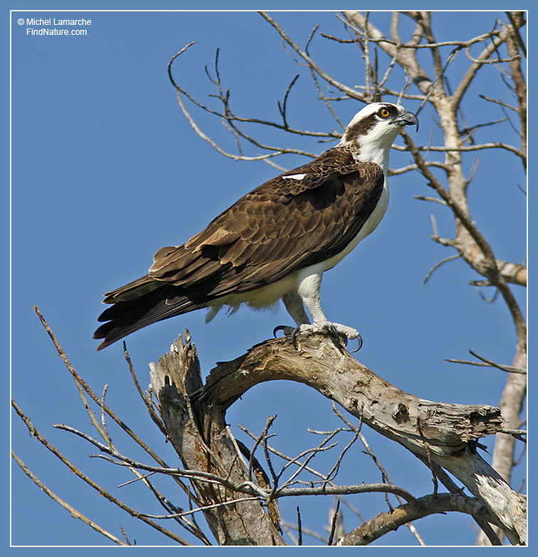 Everglades (Floride),  2006-12-29