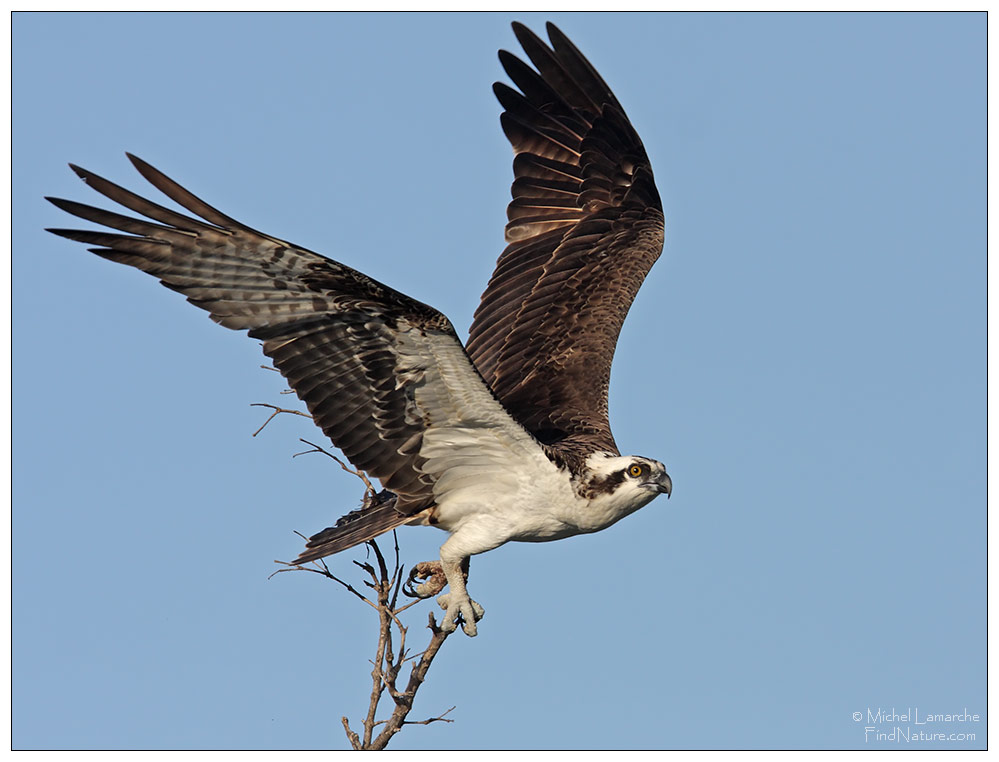 Everglades (Floride), 2008-12-25