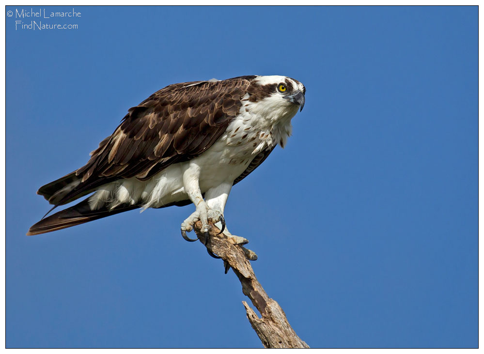 Everglades (Floride), 2015-12-25