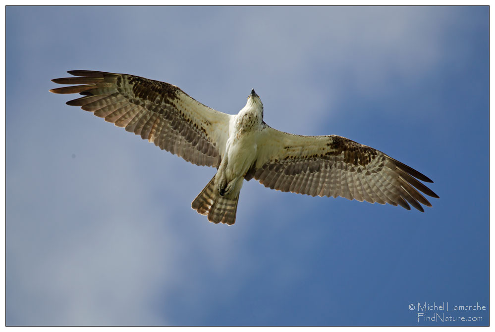 Everglades (Floride), 2015-12-28