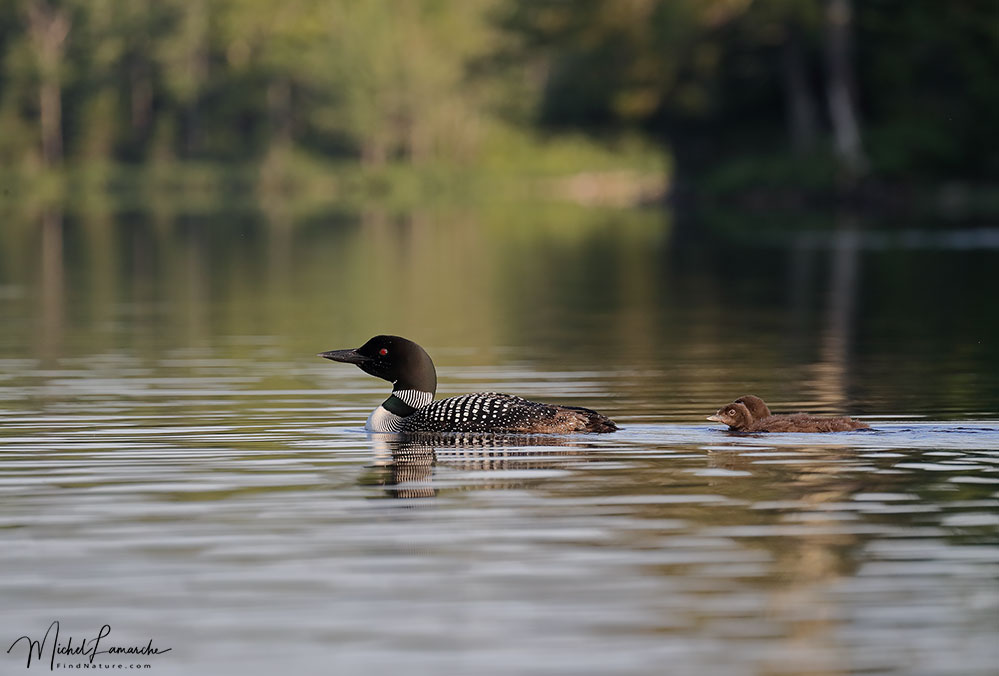 Orford (Québec), 2018-07-04