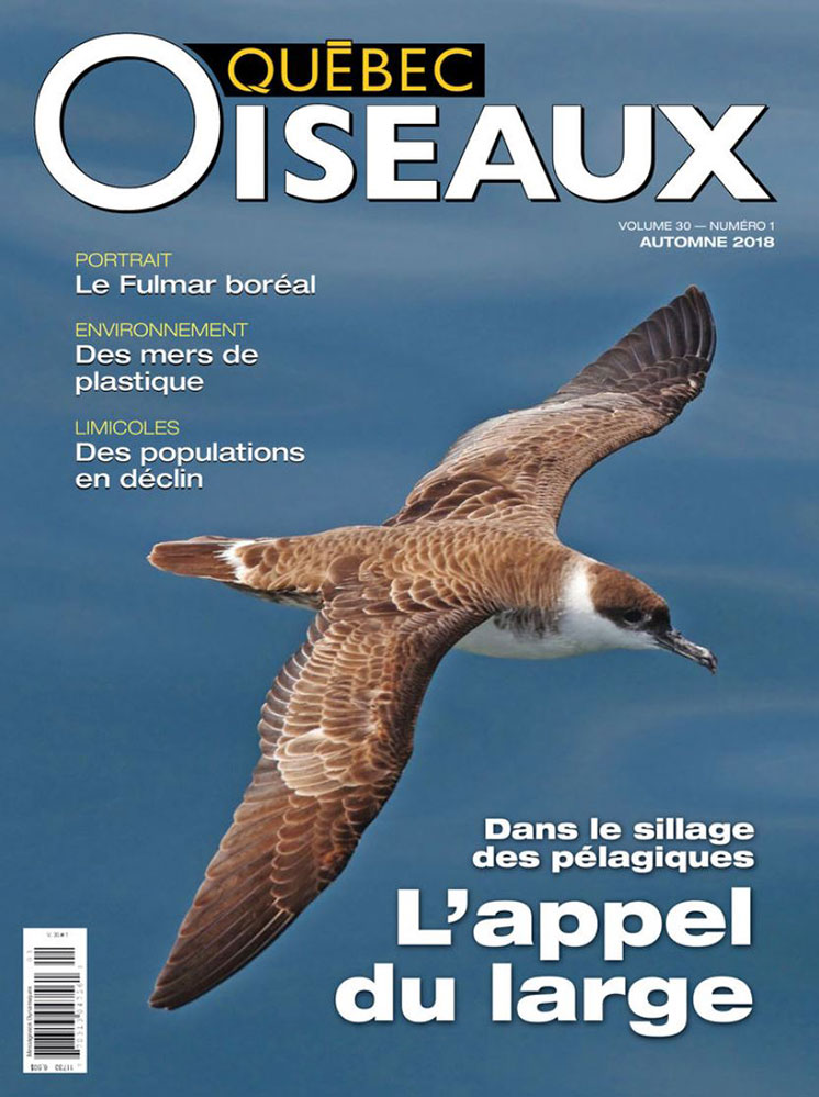 Couverture / cover, Québec Oiseaux automne 2018