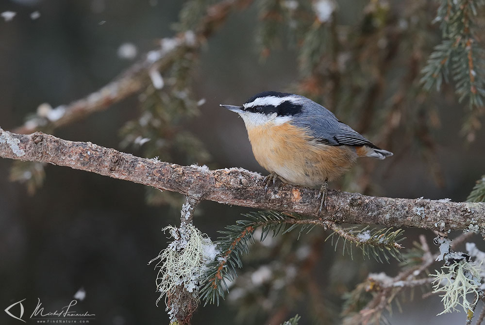 Région de Québec (Québec), 2018-12-05